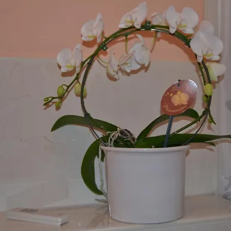 Double M * Seligenstadt