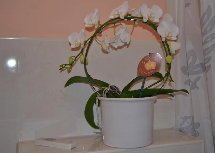 Double M * Seligenstadt